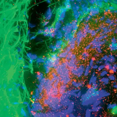 fckprknsns@mathstodon.xyz