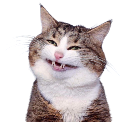 autumnwinds@mathstodon.xyz