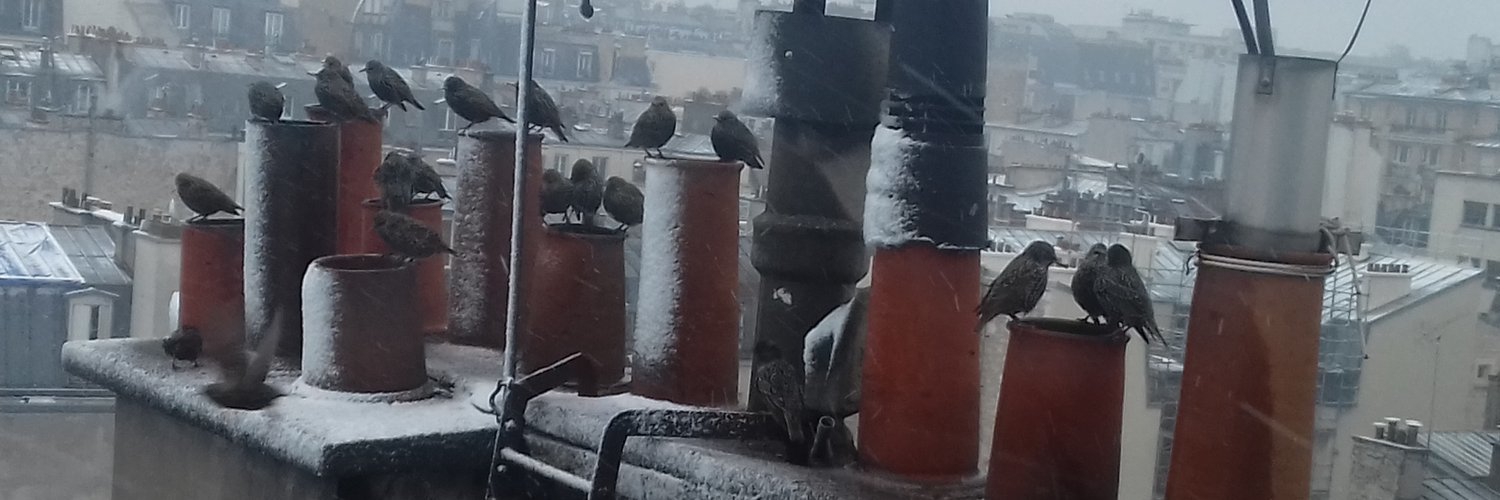 Header Image