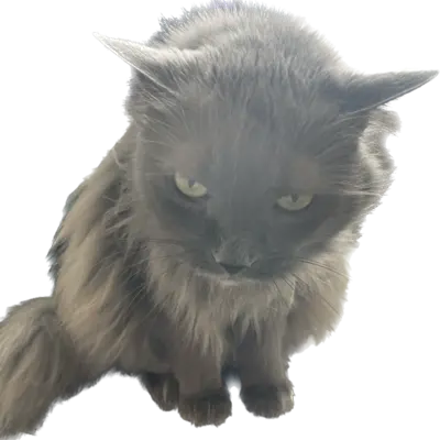 Jdreben