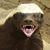 :honeybadger: