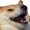 :doggo_laugh: