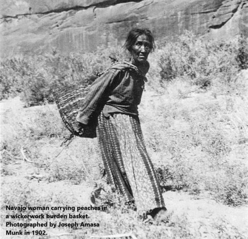 historic photo - Navajo woman carrying peaches, 1902