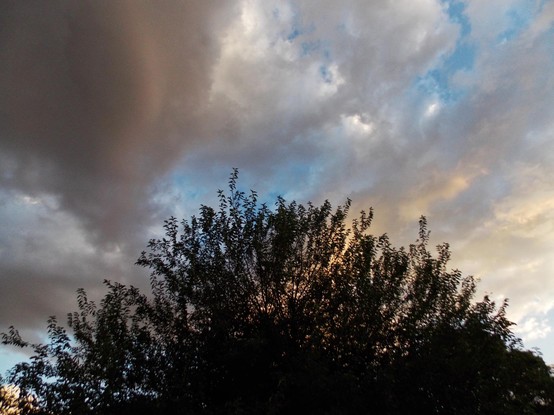 a photo with a tree, clouds, and a lovely sunrise lurking in the bottom right - taken with my Coolpix L810