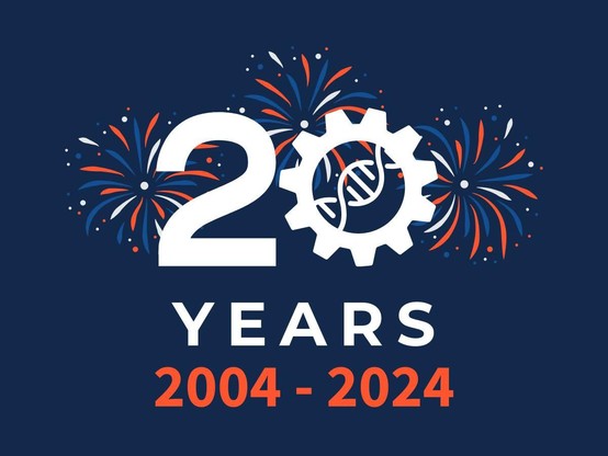 Computer-generated fireworks in orange and blue with the text "20 years 2004-2024"