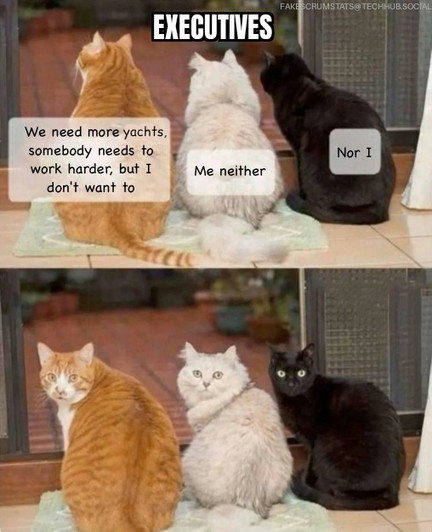 First pane: Three cats labeled "executives" facing away from us.
The first one says "We need to buy more yachts, somebody needs to work harder, but I don't want to"
The second cat says "Me neither"
The third cat says "Nor I"

Second pane: All three cats turn to look at you.