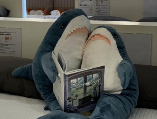 Two BLÅHAJ sharks snuggle close on a cozy display bed at IKEA, sharing what appears to be a home decor catalog. The blue plush sharks are positioned adorably with their fins propped to hold the open book between them, creating a charming scene of domestic bliss. Their white bellies and characteristic teeth are visible as they appear to be reading together, perhaps planning their dream home. In the background, you can spot IKEA price tags and displays, confirming this sweet moment is happening during a store visit. A perfect representation of BLÅHAJ's as relationship goals – even sharks need reading time together after a long day of swimming.