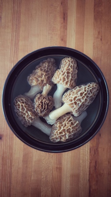 A bowl full of morel mushrooms soaking in water on a wooden countertop.