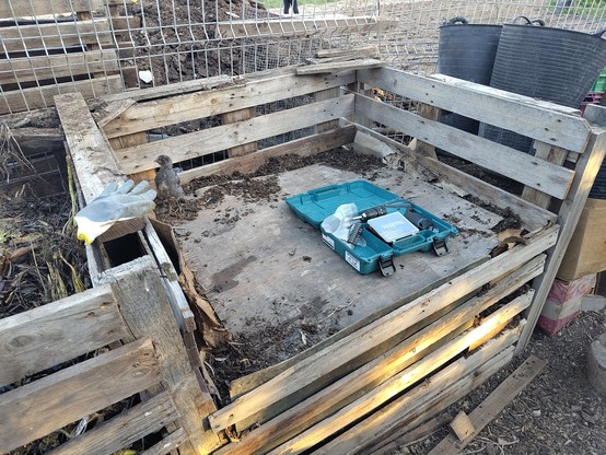A grey chick is standing inside the half filled rightmost compost bay, full of ready to use compost and covered by some wood to protect from the chickens.

Next to the chick is a battery powered screwdriver to add and remove slats from the compost bays.