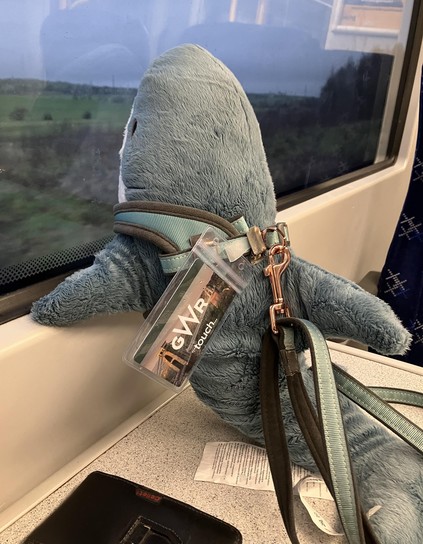 A Blåhaj cuddly shark sitting on a train table looking out the window.