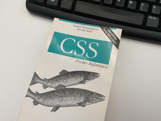 Small book on CSS:
Visual Presentation for the Web
2nd Edition
Covers GSS2 & CSS2.
Pocket Reference
