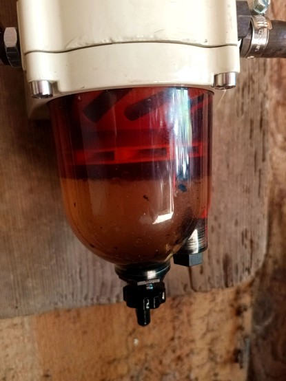 Facor filter glass bowl, filled with a significant amount of water in the bottom, which looks murky and has black things floating in it. It's separated from the fuel on top, which looks clear and reddish brown.