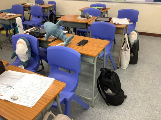 School of sharks! Three BLÅHAJ plushies are attending class in a classroom setting, each occupying their own bright blue plastic chair at wooden desks. One shark lies flat on a desk next to a smartphone, while two others sit properly in their chairs like students. The classroom features typical school supplies with papers, bags, and study materials scattered around. These soft blue IKEA sharks with their distinctive white bellies appear to be participating in an educational environment, perhaps brought by students for a special day or as part of a creative class activity. The empty seats suggest class hasn't started yet, or perhaps the other shark students are running late for Shark Week studies.