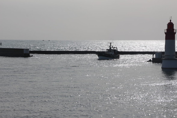 Protection des océans : la France défend une gestion différenciée du chalutage en zones sensibles