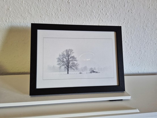A picture frame is placed on a white surface in a room with a dominant color scheme of grey and white. The frame contains a photograph of a tree in a snowy field. A small plant is also visible in the room. The image is focused on the rectangular frame, which is large and encompasses most of the photo. The room appears to be indoors, indicating that the frame is likely hanging on a wall. The overall composition gives off an artistic vibe, with the frame serving as the focal point in the room.