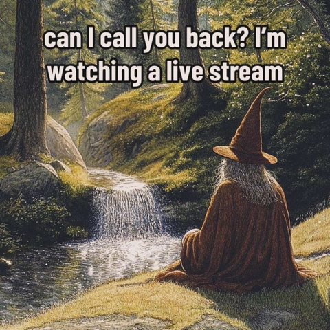 A picture of someone in wizard garb sitting on a hill. They are watching a waterfall that flows into a river.

The text overlaid says, "Can I call you back? I'm watching a live stream."