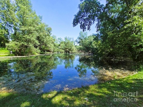 A serene pond reflects the surrounding lush greenery and clear blue sky. Sunlight filters through the trees, casting gentle shadows on the grassy banks.
Lake at Bundek Park Zagreb, Croatia