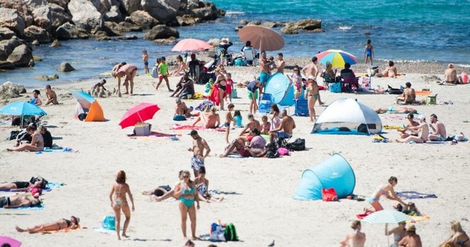 la posidonie utilisée contre l'érosion de plusieurs plages