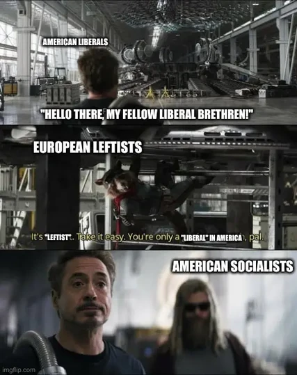 Meme from Marvel Endgame.
In the original, Tony Stark addresses Rocket as "Rachet," and is rebuffed with, "It's Rocket. Take it easy, you're only a genius on earth, pal."

Three pane format, top pane is Tony walking towards Rocket working on the big time machine. Second frame is Rocket's sassy response, and third frame is Tony looking humbled, and Thor looking on from the background.

Actual (modified) meme content:

Tony (labeled as "American Liberals"): "Hello there, my fellow liberal bretheren!"

Rocket (labeled as "European Leftists"): "It's 'leftist.' Take it easy, you're only a 'liberal' in America, pal."

Thor is labeled as "American Socialists."

The idea is that American Liberals are often so self-congratulatory with regard to their own sense of enlightenment, but compared to the average European, they're actually rather conservative, while American Socialists line up more with European political ideals.

This is just my own opinion, I'm not hardly an expert on European political thought (nor even American politics), and I decline to state where I think I fit on this particular meme. XD