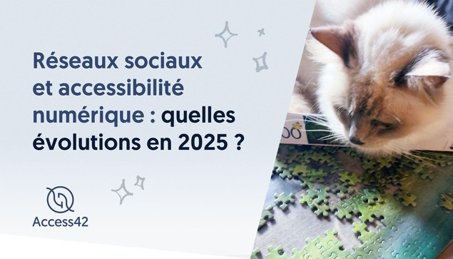 Réseaux sociaux et accessibilité numérique : quelles évolutions en 2025 ? Access42.