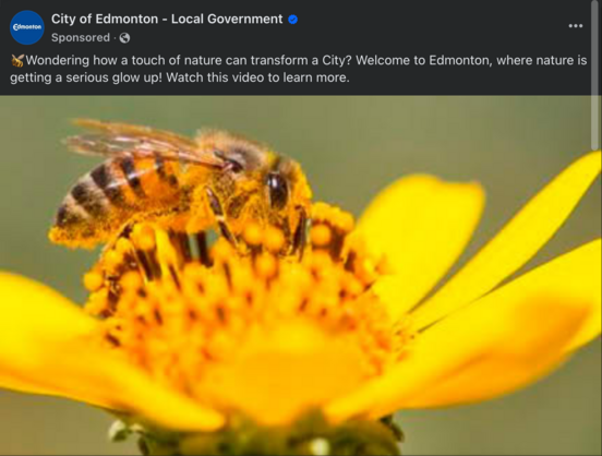 City of Edmonton - Local Government 
etdnSrpsoo1h1:5l36Mh9f4a1f tMchiu3 h0cflP45 37auaa17l l5yi2l  ·
🐝Wondering how a touch of nature can transform a City? Welcome to Edmonton, where nature is getting a serious glow up! Watch this video to learn more.

<image of a yellow bee on a yellow flower>