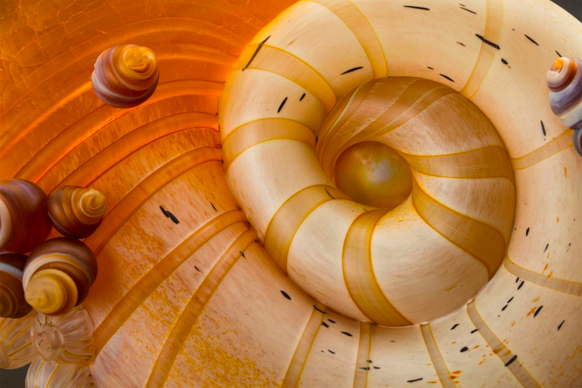 Kelly O'Dell's mesmerising and intricate glass shell sculptures