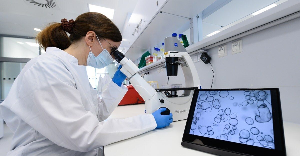 Cancer research in Dresden - new building opened