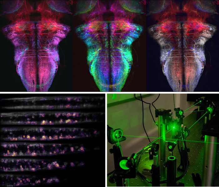 postdoc in neuroscience