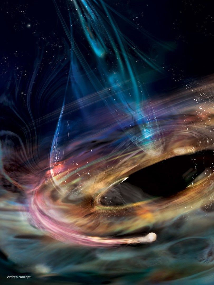 Artist's rendering of white dwarf orbiting supermassive black hole Artist's rendering of white dwarf orbiting supermassive black hole