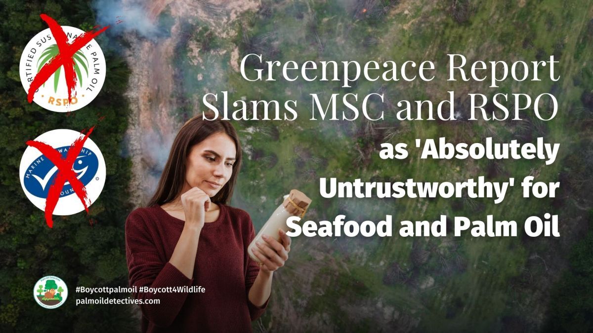 Greenpeace Report Slams MSC and RSPO as 'Absolutely Untrustworthy' for Seafood and Palm Oil
