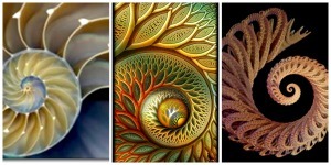 PicMonkey Collage2