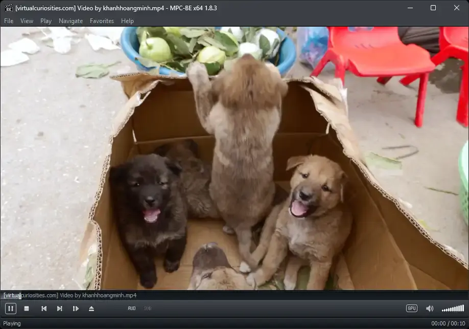 A window titled [virtualcuriosities.com] Video by khanhhoangminh .mp4 - MPC-BE x64 1.8.3. Its menubar: File, View, Play, Navigate, Favorites, Help. The main pane has a video of four puppies in a box. There is a progress bar under the main pane. In it, the title of the video is written. A bar under the progress bar has several buttons, including pause, stop, go to previous, go to next, an unknown right arrow icon, and eject. Two text buttons, AUD and SUB. On the right side of the bottom bar the text GPU can be read, a speakers icon, and a volume bar. The statusbar reads "Playing" on the left side and has the timestamp 00:00 / 00:10 on the right right.