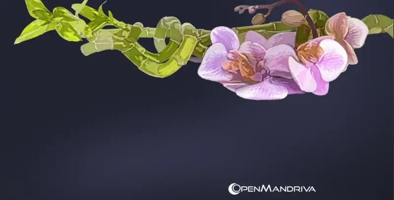 OpenMandriva 6.0