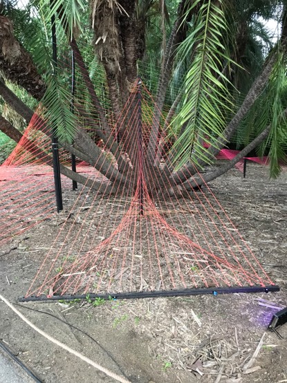 String art surfaces made from red string. A cusp pattern is formed in the center.