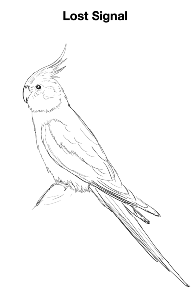 A cockatiel sketch with the words "Lost Signal" above. It is in black and white.