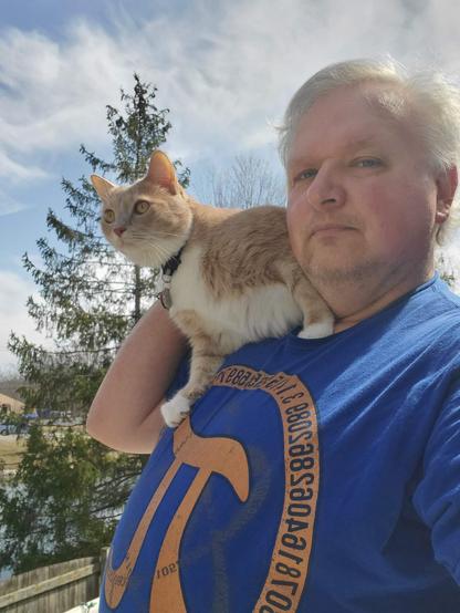 seeing the birds
