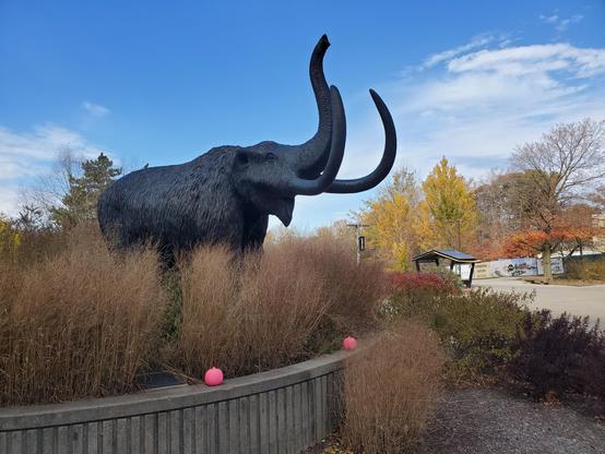 pink pumpkins and November fall foliage on the Purdue Fort Wayne campus.  
