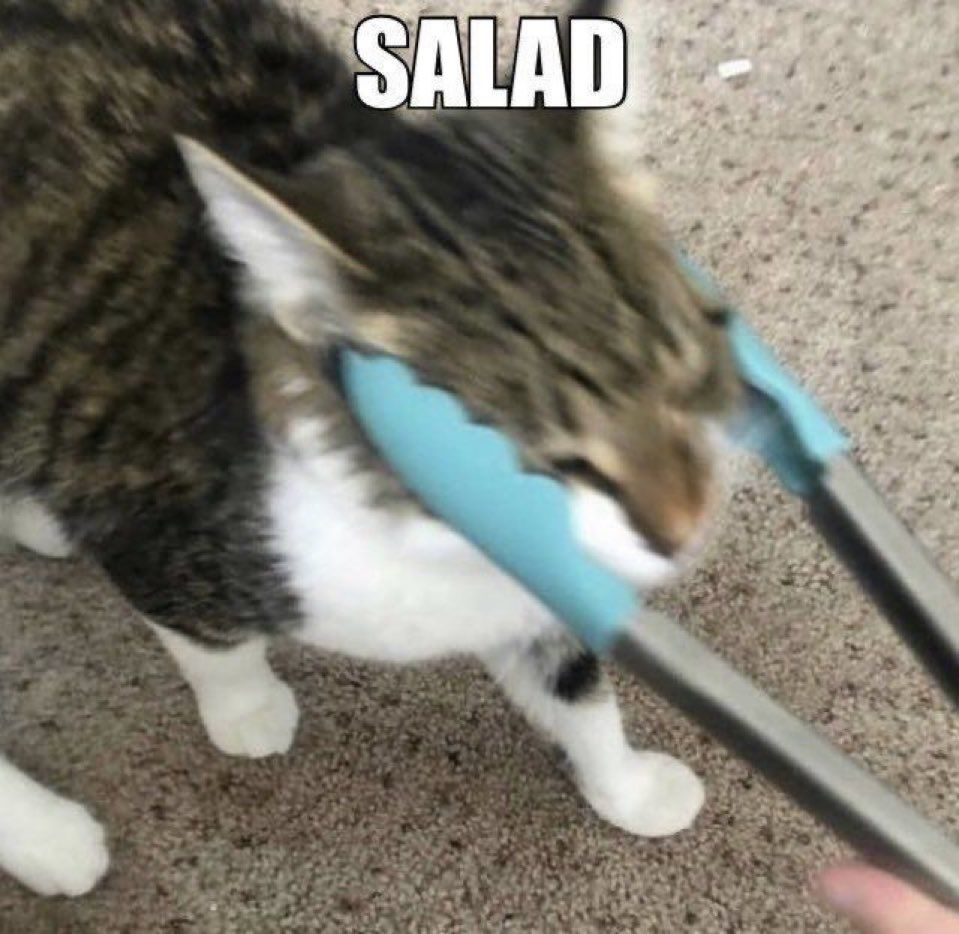 Meme text reads “salad”. A cat with tongs holding their face