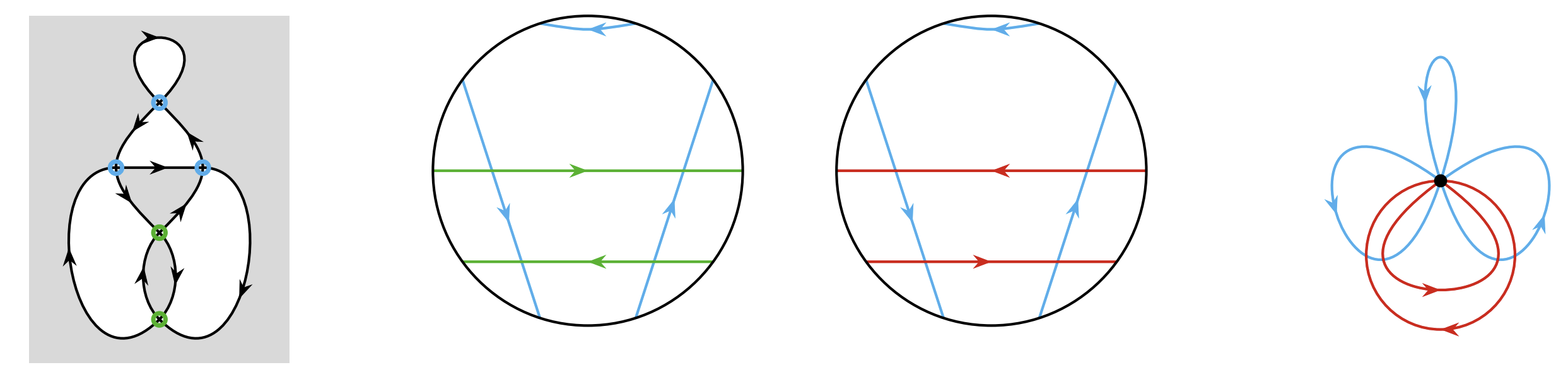 thumbnail: bicolored immersed directed curve and the corresponding embedded bouquet