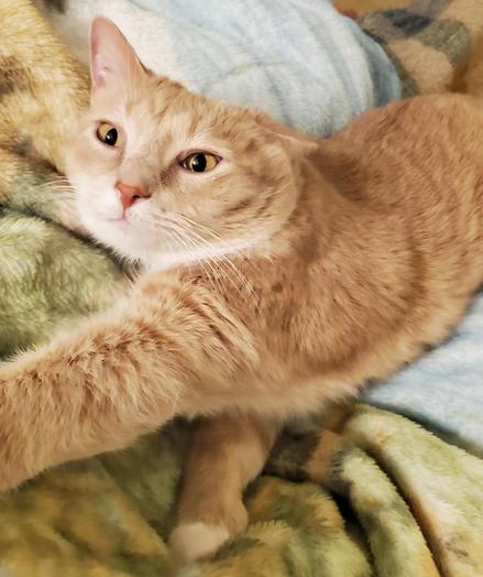 More importantly, stretching is a healthy activity even in medium amounts.