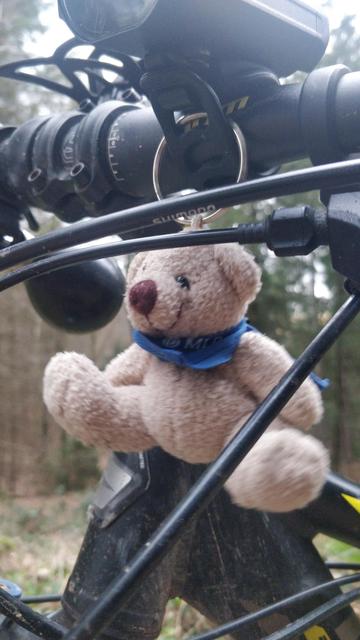 Posted media