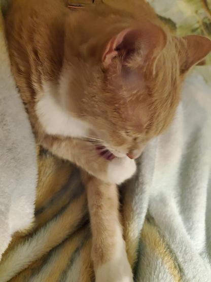 Gotta keep those white mittens clean 