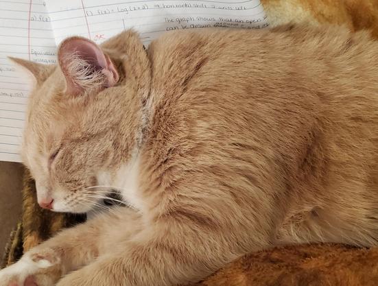 Oh, you need help grading?  I'm on it!