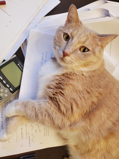 Pedro is helping.