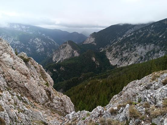 Mountain landscape in the Austrian alps. The perspective is from high up looking far ahead and a bit downwards. On the right and in the front are weathered rocks, on the left are conifers on a downwards slope. Futher to the back are hills with trees and rocky cliffs and far in the back more mountains with trees. The sky is full of white rain clouds hanging low.