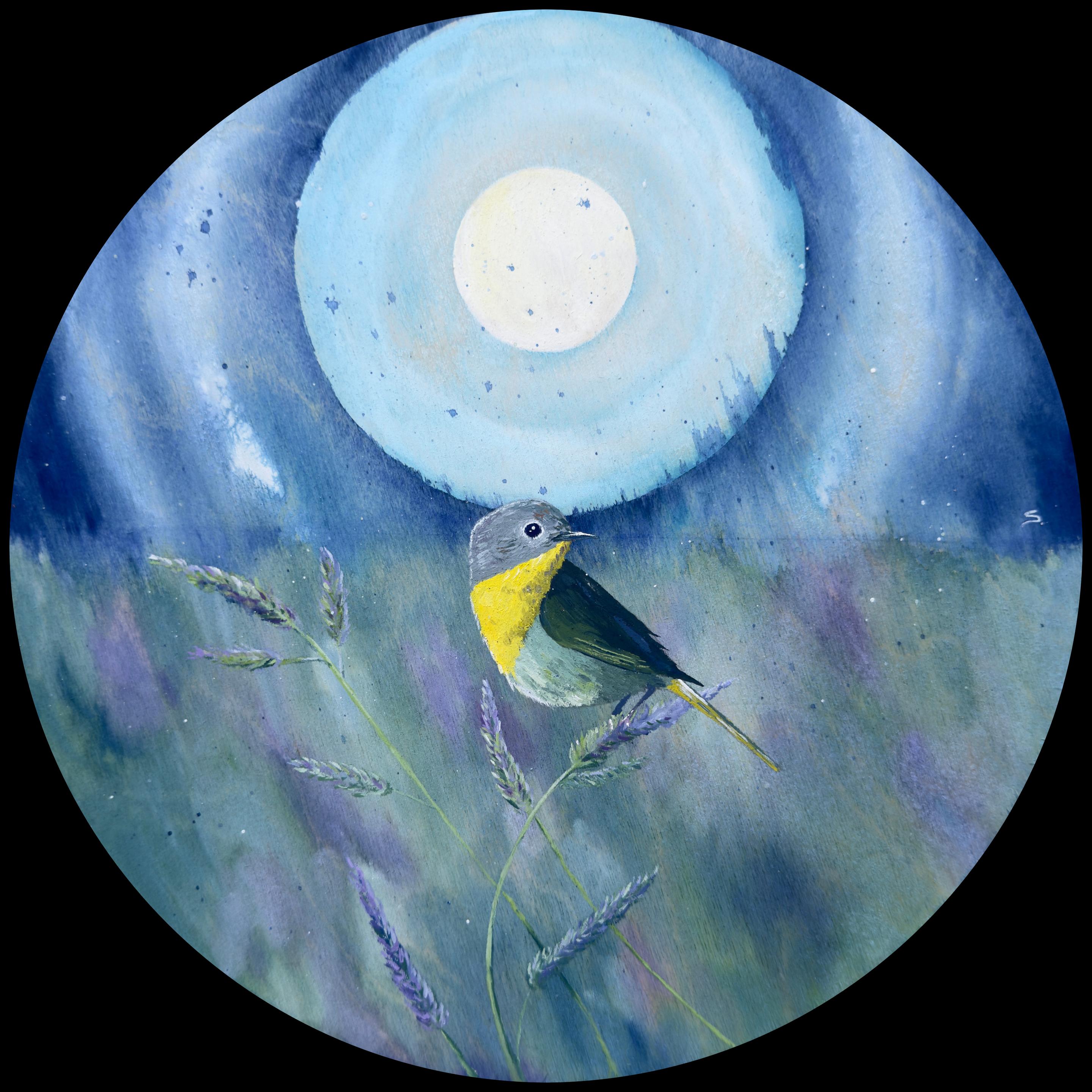 Circular gouache painting of a female common yellow-throat on grasses. The bird has a yellow throat with brownish body. The grasses have purple hues in the background. There is a moon with a geometric ring around it. There is a bokeh effect where the meadow is blurred beyond the focal range of the bird. However, the moon and Halo are in focus. The blues are Prussian and cerulean that dominate the color space beside the yellow on the bird.
