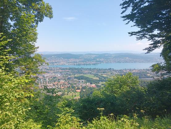A photograph of Zurich as seen from Uetliberg with Lake Zurich nicely visible across the image. There are trees and bushes in front and on the side framing the rest of the view. It was a hot and sunny summer day, so the air and the sky are turbid and the photo is bright.