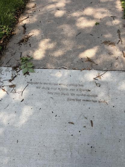 A sidewalk with a poem imprinted in it:

Midnight in the Burger King parking lot
We could drop a dime, see it sparkle
fifty feet away. We would always
have the moon we said

