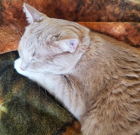 And snuggles