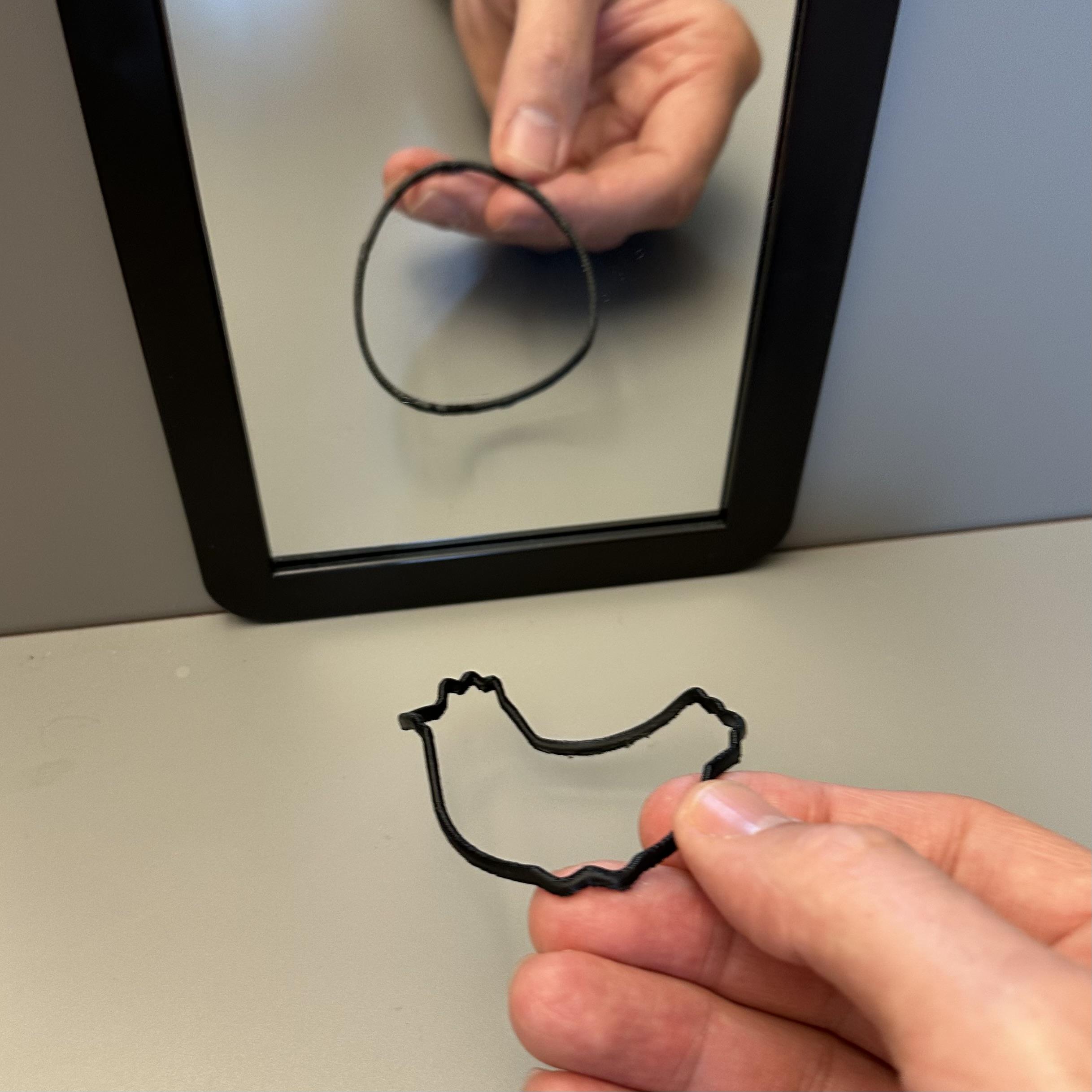 A chicken that has an egg-shaped reflection